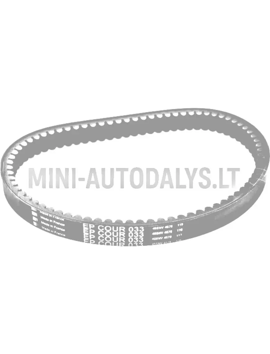 Pavaros siksna EPCOUR033 B3211AA1096