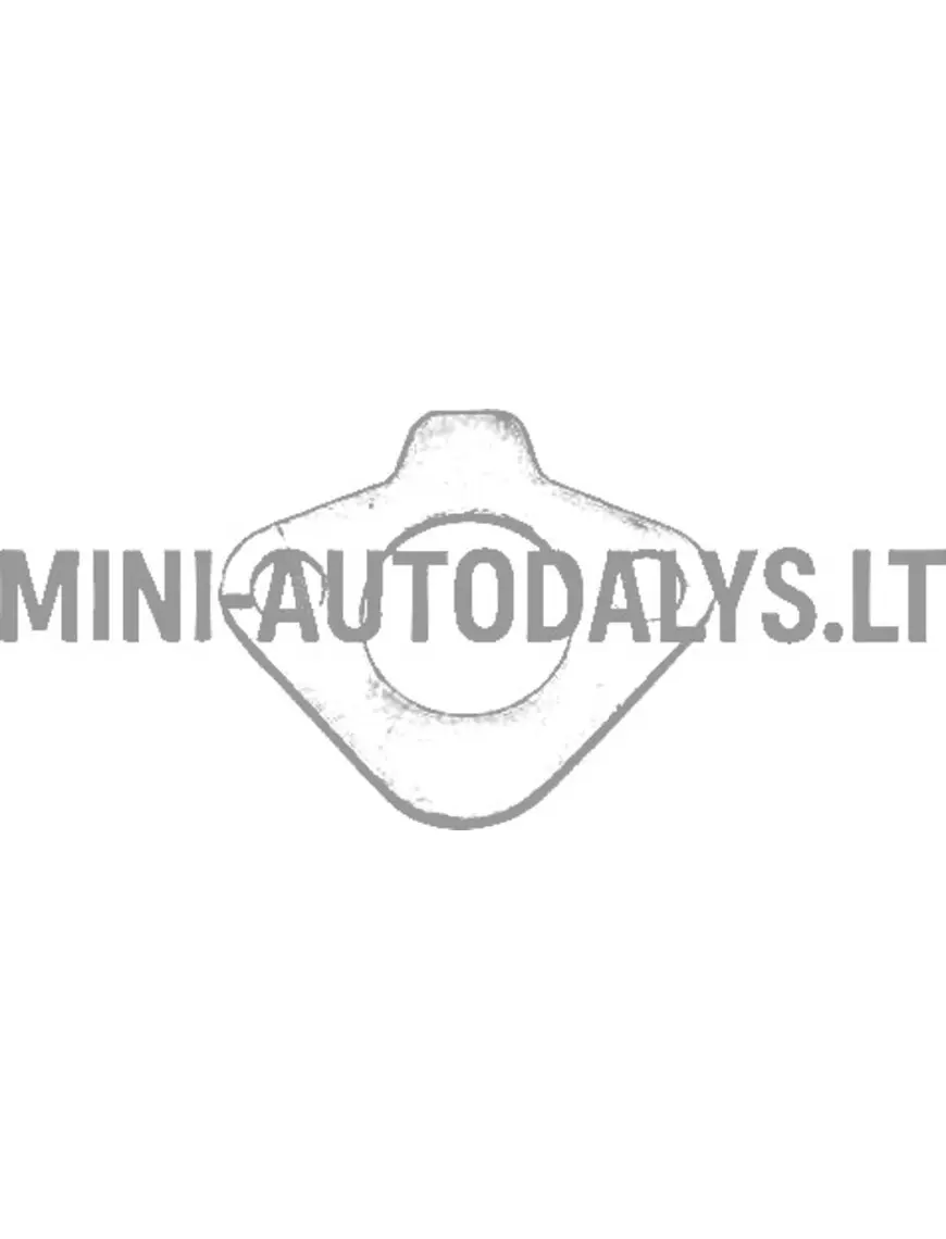 Degvielas sūkņa blīve Yanmar