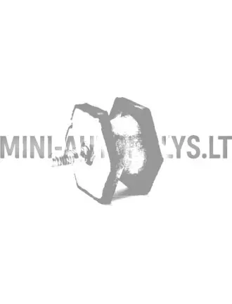 Izplūdes gumija Microcar Virgo (M8)