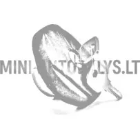 Degvielas tvertnes vāciņš JDM Titane / Chatenet