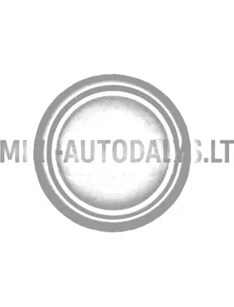 Aizsargs miglas luktura priekšējam buferim Aixam