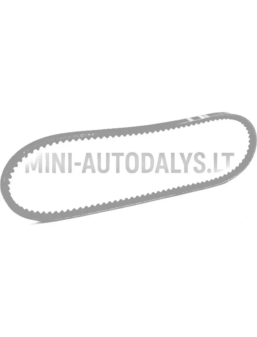 Ķīļsiksna Casalini Mitsubishi / Due First (10x775)