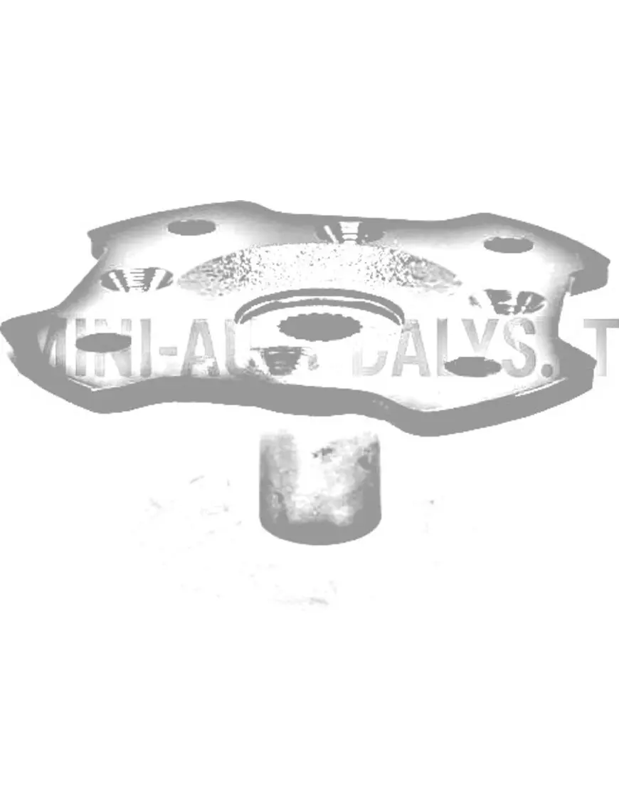 Aixam / Grecav priekšējā riteņa rumbas