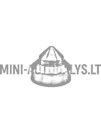 Motora vara atsvars 190 grami