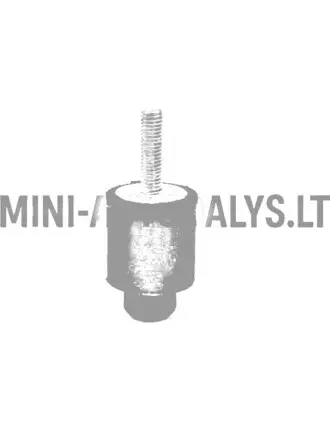 Radiatora gumijas Ligier / Microcar