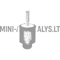 Radiatora gumijas Ligier / Microcar