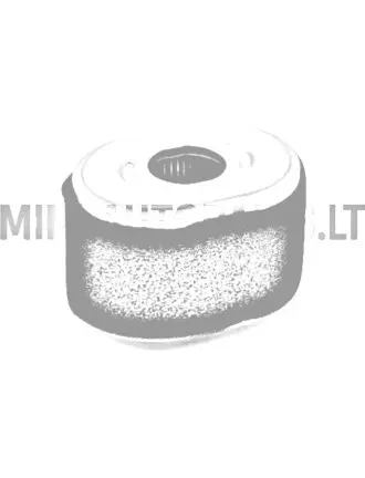 Gaisa filtrs Canta Honda