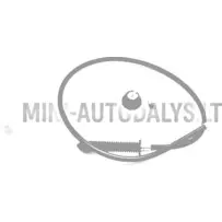 Akceleratora / droseles vārsta trose Ligier Ambra / 162