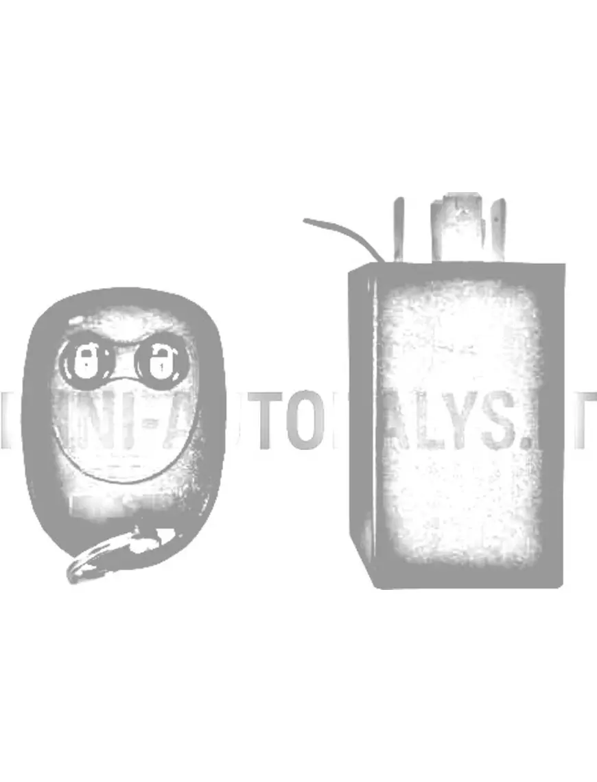 Tālvadības pults un centrālās durvju atslēgas uztvērējs Microcar MC / Due 1