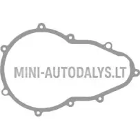 Microcar MGO 1/2 pārnesumkārbas blīve