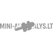 Stiprinājuma spraudnis zemes gabala plaukta vads Ligier / Microcar