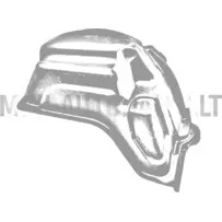 Aizmugurējā labā riteņa arkas ieliktnis Ligier IXO