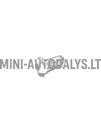 Riteņu rumbas stiprinājuma skrūve - bremžu disks Casalini / Chatenet / JDM