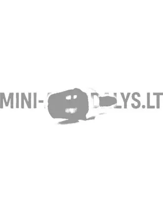 Ligier vējstikla mazgāšanas sprausla