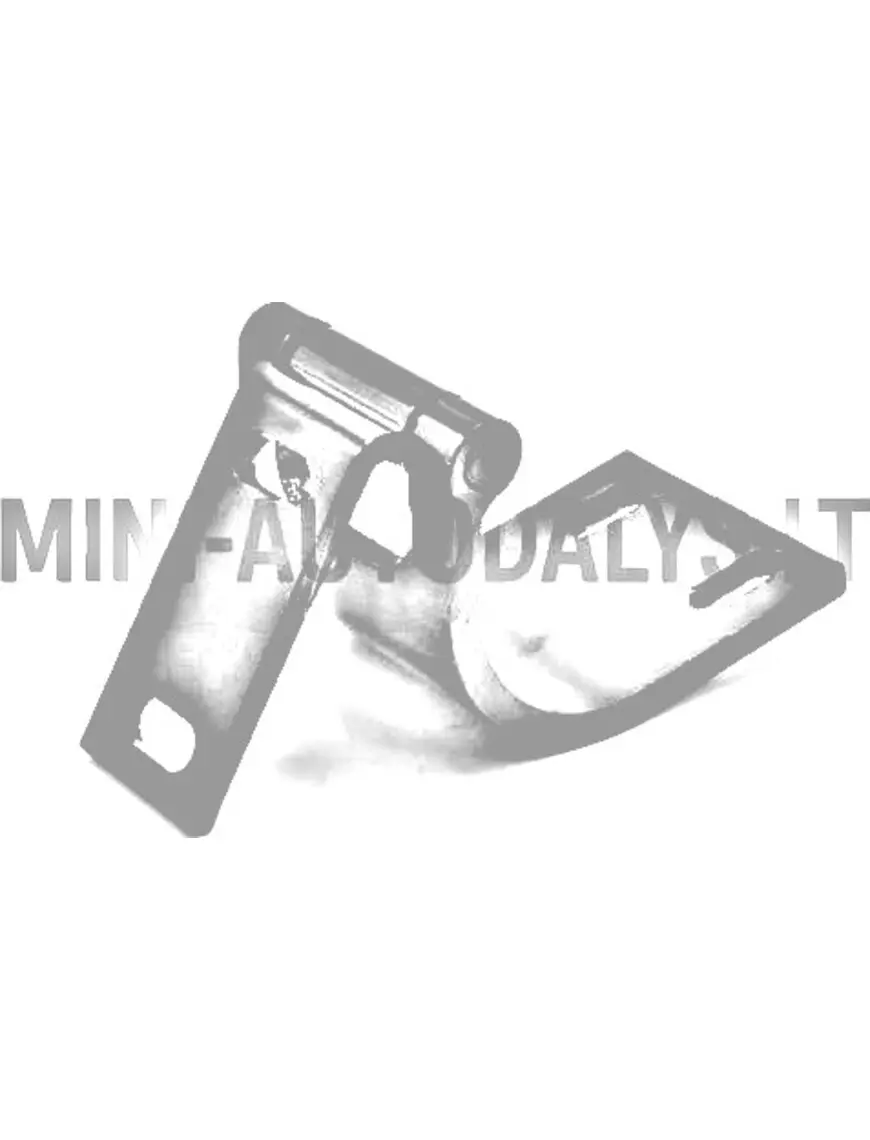 Ligier aizmugurējo durvju eņģes