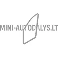 Durvju blīvgumija Ligier