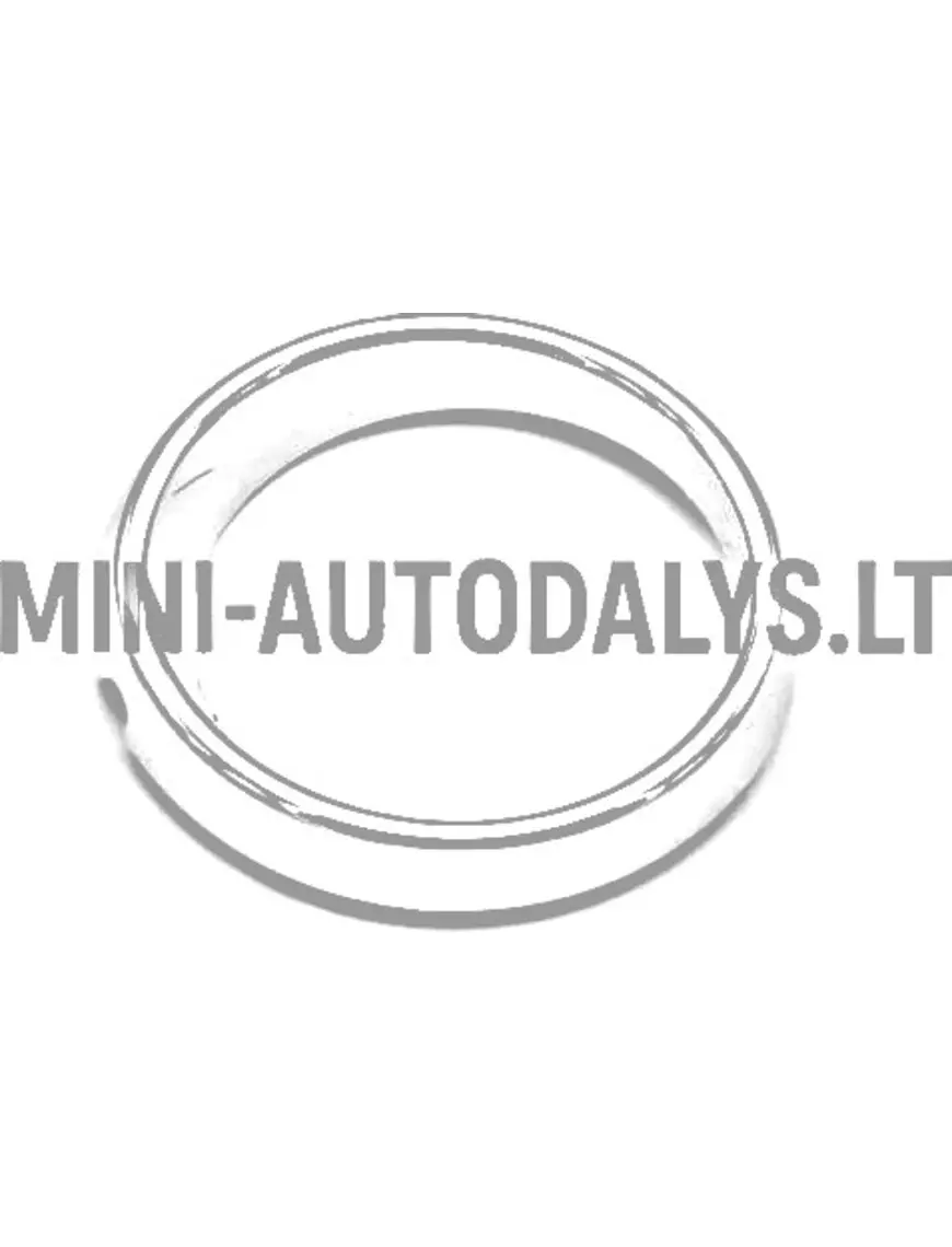 Ligier kreisās puses miglas lukturis (hromēts)