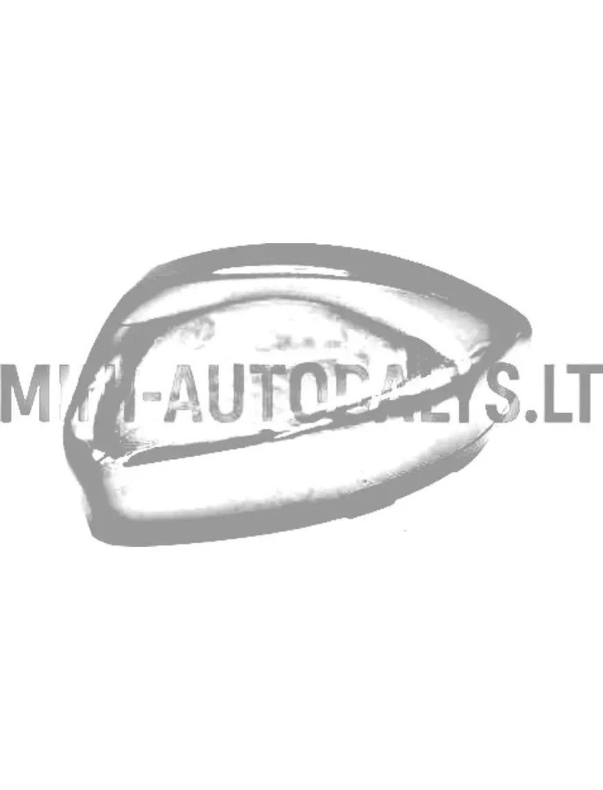 Spoguļa vāciņš kreisajā pusē spīdīgi melns Ligier JS60