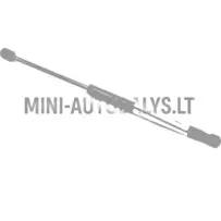 Aizmugurējo durvju amortizators Microcar Dué