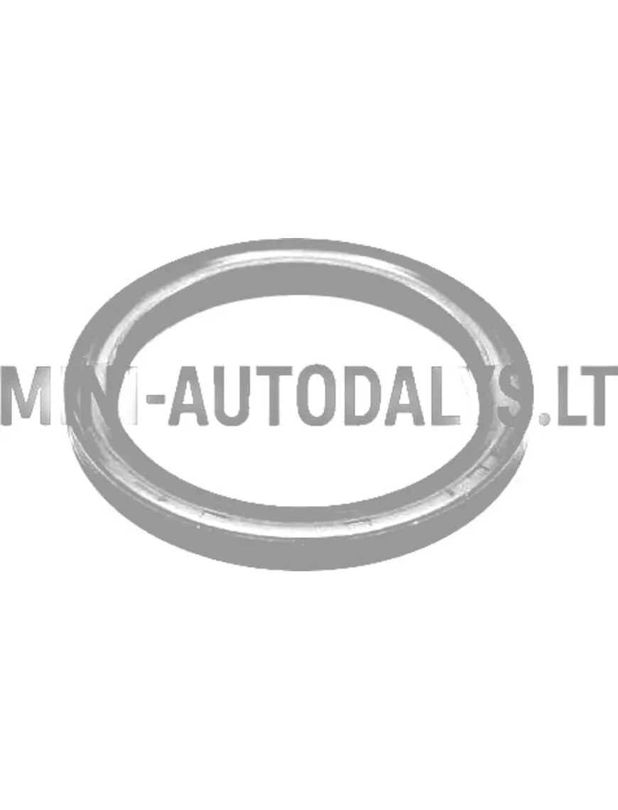 Kloķvārpstas blīvslēgs spararata pusē Lombardini DCI