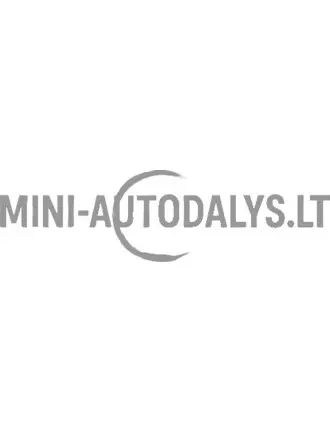 Inžektora iesmidzināšanas sūkņa cilindra puses gredzens Lombardini 502 FOCS / Progress