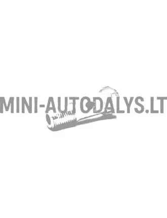 Banjo skrūve degvielas sūknis Lombardini 502 FOCS