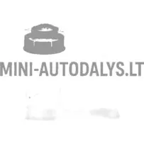 Bremžu šķidruma rezervuārs galvenais bremžu cilindrs