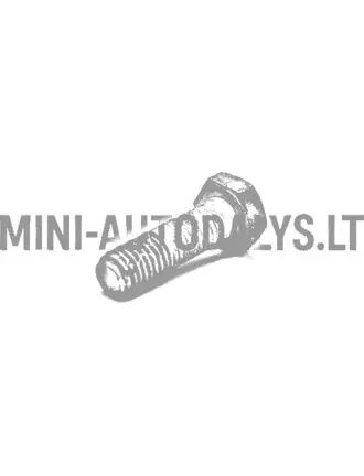 Pārnesumkārbas vara montāžas skrūve Ligier / Microcar