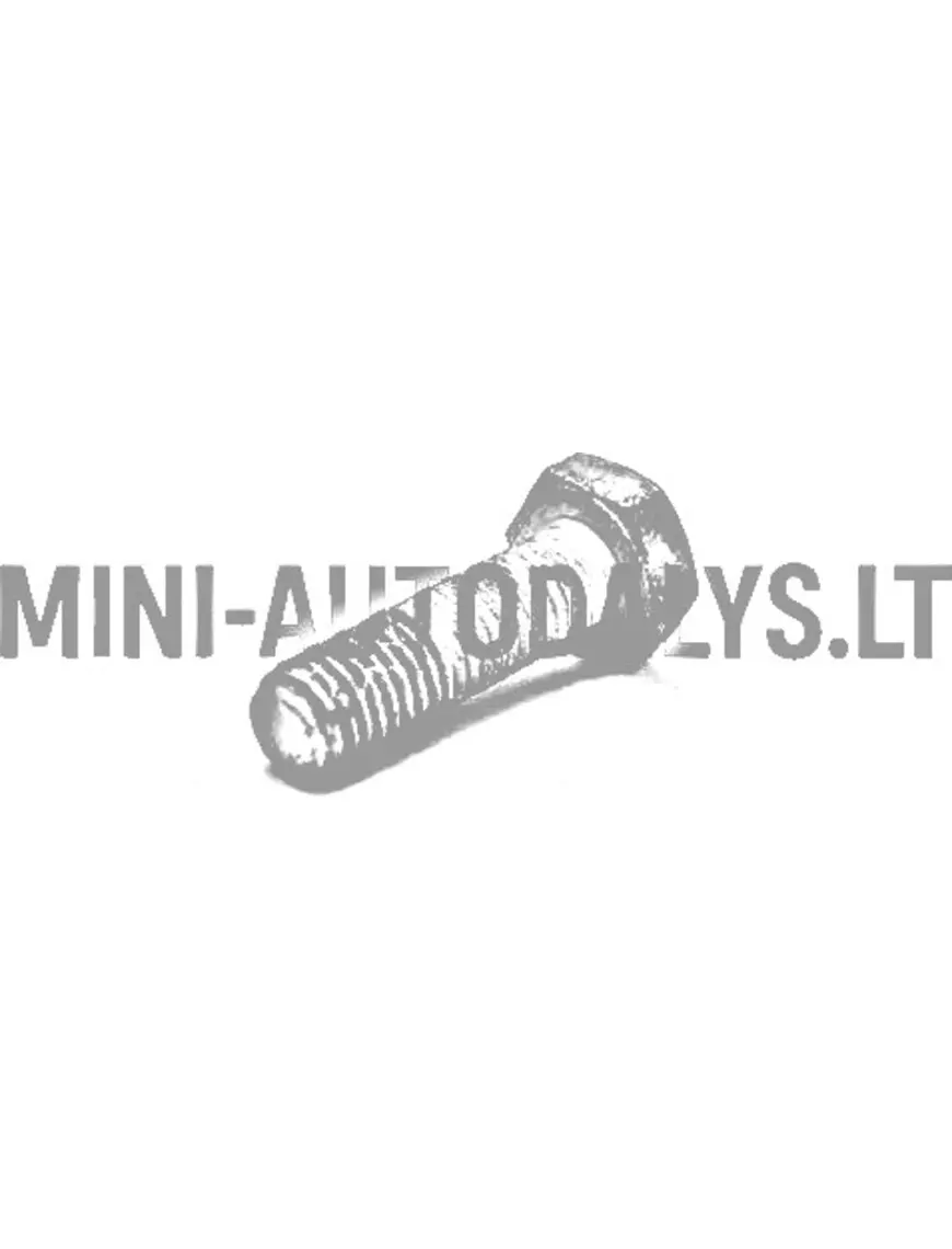 Pārnesumkārbas vara montāžas skrūve Ligier / Microcar