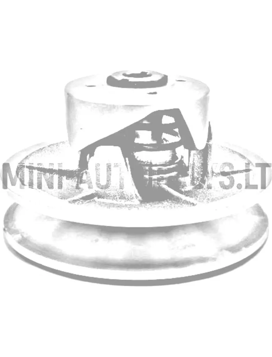 "Vario" sajūga pārnesumkārbas puse