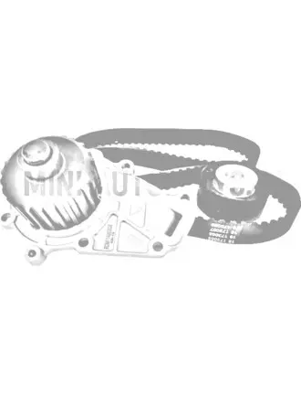 Sadales komplekts Lombardini 442 / 492 / 480 DCI