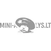 Aizmugurējo durvju / aizmugurējā loga stiprinājuma uzgrieznis Aixam