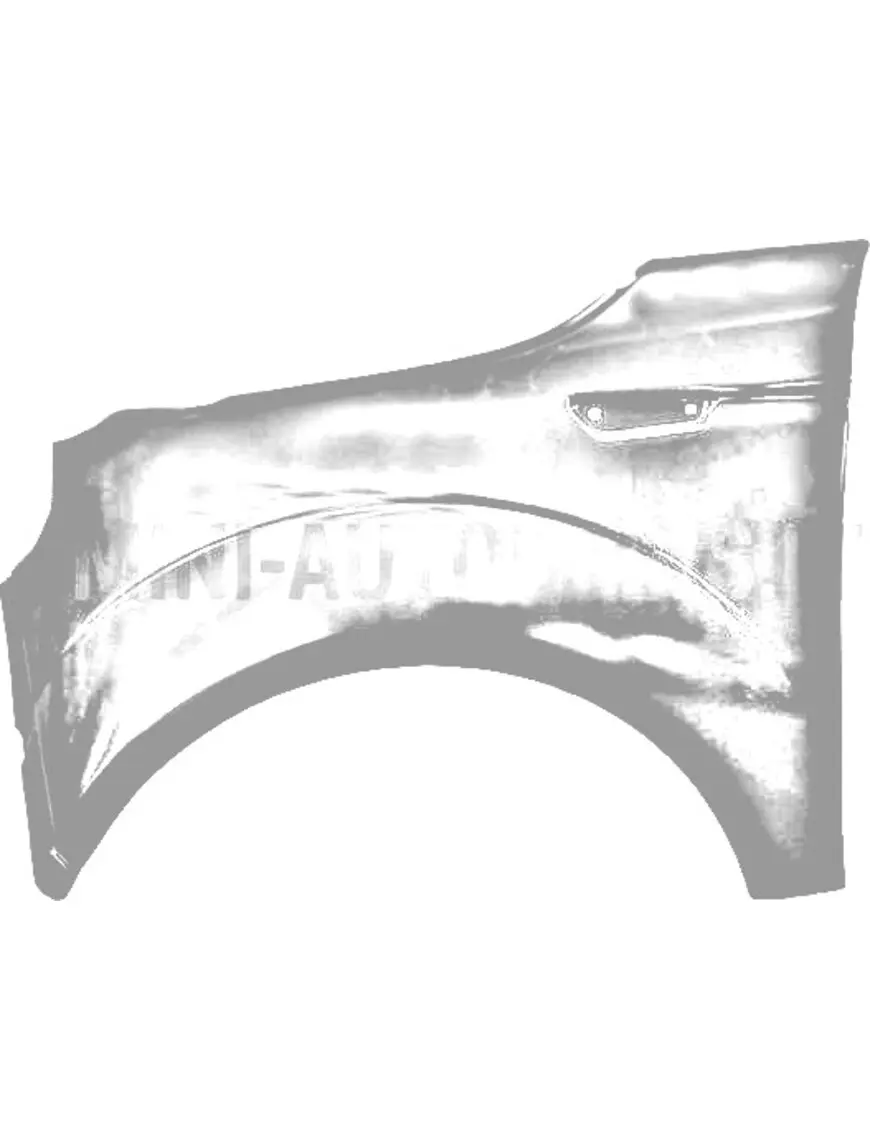 Microcar MGO6 / Dué6 kreisās puses priekšējais spārns | Mini Auto Parts