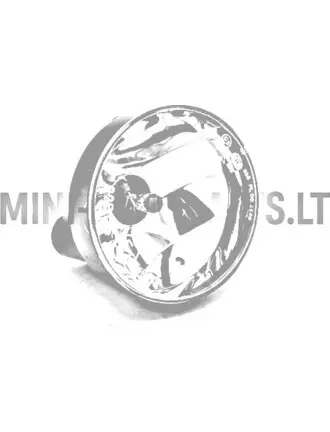 Atpakaļgaitas lukturis Ligier / Microcar