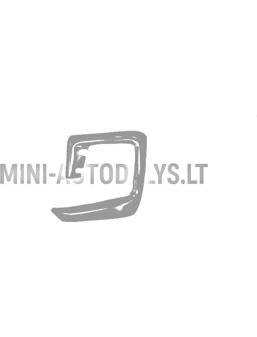 Aizmugurējais labais bufera stūris Ligier JS60 Ultimate NEORIĢINĀLS