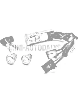 Aizdedzes slēdzene Aixam / Grecav / JDM / Chatenet