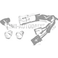 Aizdedzes slēdzene Aixam / Grecav / JDM / Chatenet