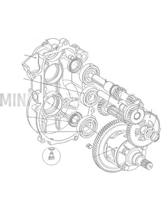 Magnētiskais izlaišanas korķis pārnesumkārbai Aixam