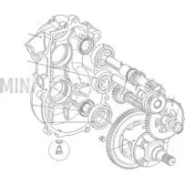 Magnētiskais izlaišanas korķis pārnesumkārbai Aixam