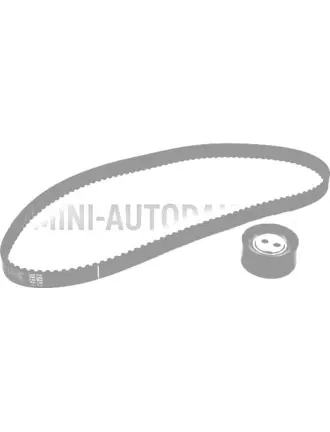 Sadales komplekts Lombardini 492 / 442 / 480 DCI