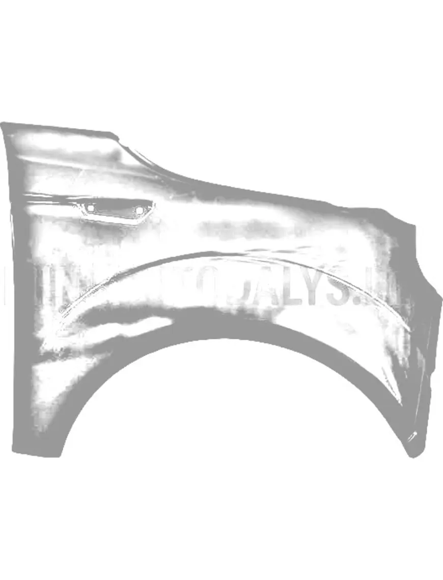 Labais priekšējais spārns Microcar MGO6 / Dué6 | Mini Auto Parts