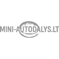 Sasalšanas korķis "Aixam Kubota" dzinējam (⌀ 28 mm)