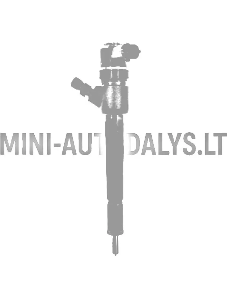 Inžektors Lombardini DCI 442 / 492 / 480