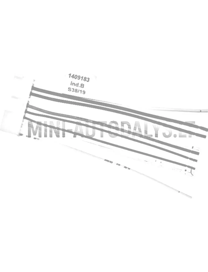 Centrālo durvju slēdzenes uztvērēja vadi Ligier