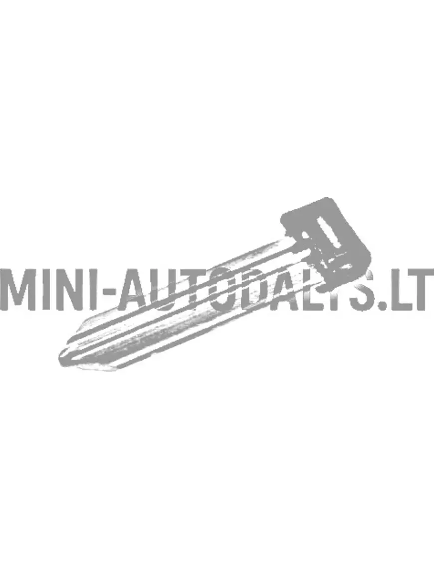 Atslēgas sagatave Aixam / Ligier