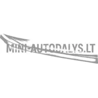 Dekoratīvā hroma josla labajā pusē Aixam Emotion