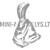 Ātrumu pārslēgšanas mehānisms Aixam 2005-2012 g.