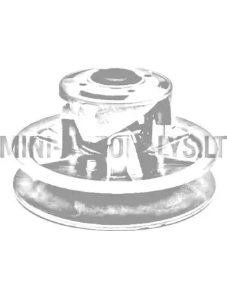 Vario sajūga pārnesumkārbas puse Ligier Ambra