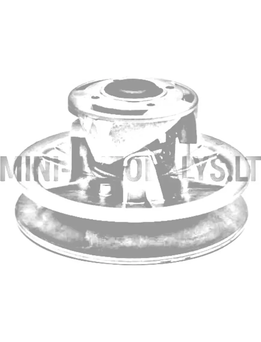 Vario sajūga pārnesumkārbas puse Ligier Ambra