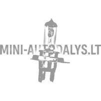 H4 spuldze Mikroautobuss / JDM / Ligier / Bellier / Chatenet